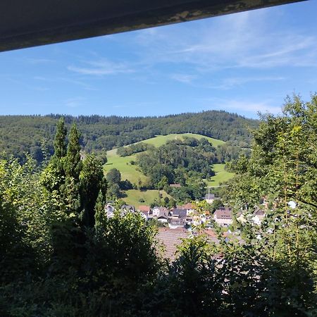 Das Tor Zum Odenwald Gorxheimertal Exterior foto
