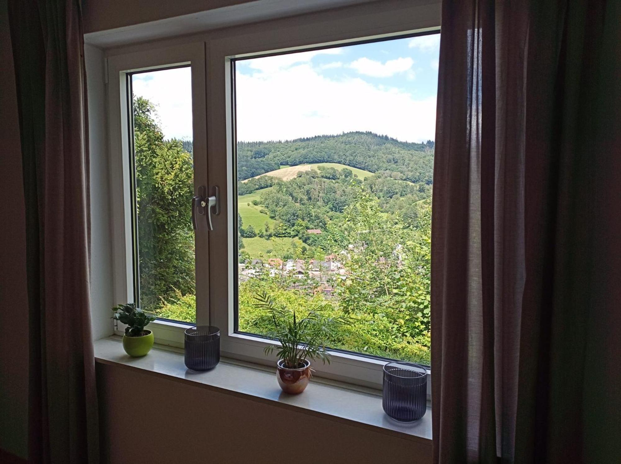 Das Tor Zum Odenwald Gorxheimertal Exterior foto