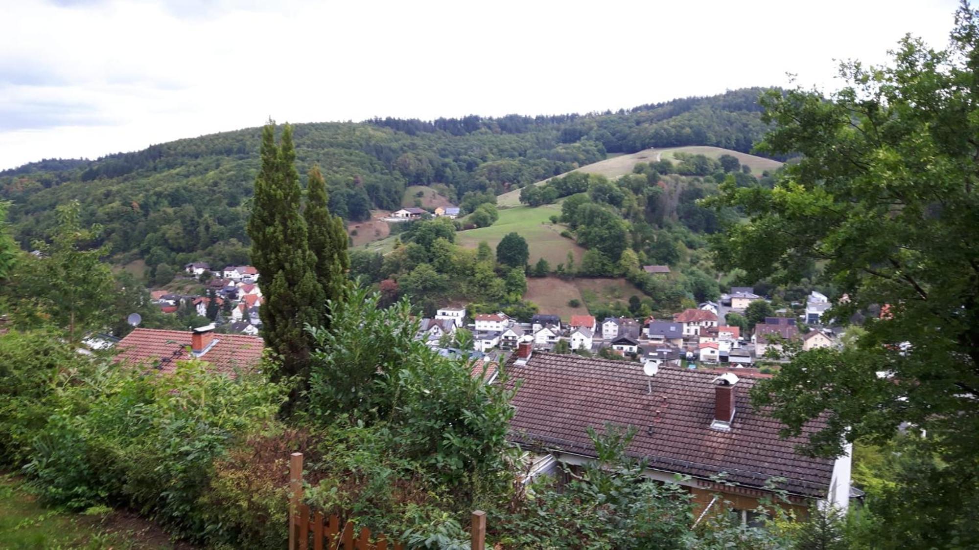 Das Tor Zum Odenwald Gorxheimertal Exterior foto